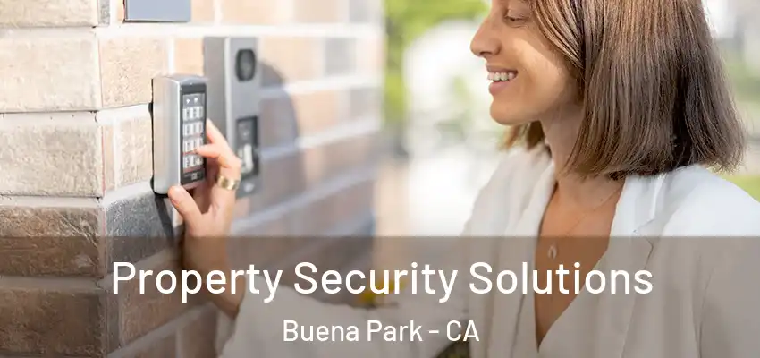  Property Security Solutions Buena Park - CA
